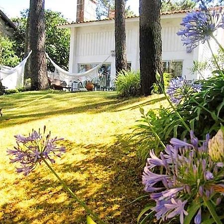 Cabedelo Beach House Viana do Castelo Kültér fotó